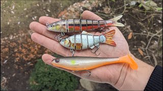 I Bought Cheap Swimbaits on Amazon are they Any Good [upl. by Arobed446]