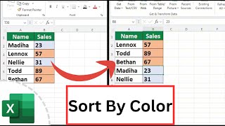 How to Sort By Color in Excel  How to Sort By Cell Color in Excel [upl. by Hi191]