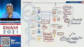 NEUMOLOGÍA Farmacología ENAM 2021 [upl. by Lawrenson]