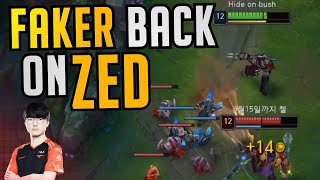 T1 Faker Back on ZED  Best of LoL Stream Highlights [upl. by Webb535]