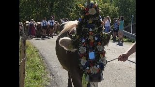 Viehscheid Oberstdorf Schöllang 2018 [upl. by Ayikur258]