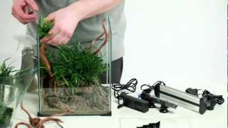 How to set up beautiful nano aquarium  DIVERSA [upl. by Graeme496]