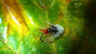 Tying Arthur MacDonalds Westie Muddler with Davie McPhail [upl. by Marvin]