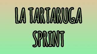 La tartaruga sprint [upl. by Nikola]