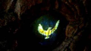 Disneyland DCA Brother Bear Kenai Spirit Cave CLIP 042706 [upl. by Reve]