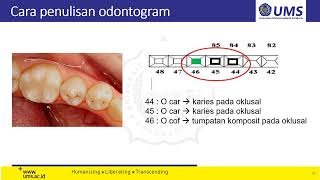 Skills Lab 3 odontogram [upl. by Hanzelin]