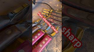 HOOF KNIFE sharpening hoofcare satisfyingvideo farriertools [upl. by Butler]