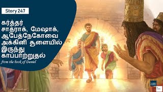 Story 247  Daniel 3 Shadrach Meshach amp Abednego in the blazing furnace  Bible Stories in Tamil [upl. by Jonah603]