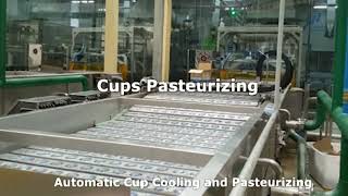 Cups Pasteurizing [upl. by Hachman]