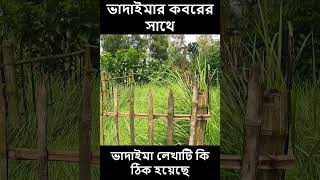 ভাদাইমা আসান আলী [upl. by Niassuh]