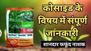 Dupont kocide 2000फंगस पर शानदार नियंत्रण  कोसाइड के विषय में संपूर्ण जानकारी [upl. by Radborne]