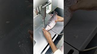 Unique small New live rohu fish cutting skills video reels shortsvideo youtube style [upl. by Silevi]