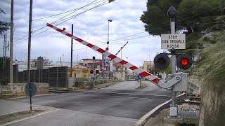 Spoorwegovergang Turi I  Railroad crossing  Passaggio a livello [upl. by Marinelli]