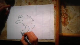 How to draw a Wolf  easy [upl. by Sirred208]