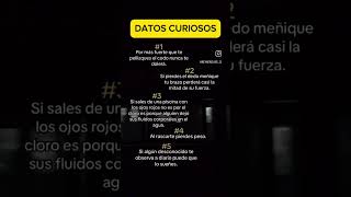 5 datos curiosos datos curiosos datoscuriosos datosinteresantes frases lentejas [upl. by Radbun776]