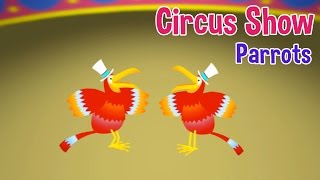 Circus Show For Kids  Parrots  Nursery Rhymes amp Kids Songs by Oxbridge Baby [upl. by Hteik]