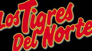 Tigres del Norte  Si No Me Falla El Corazón [upl. by Rox]