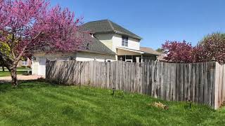 Fence Cleaning with Sodium Percarbonate [upl. by Etteyniv]