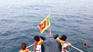 Whale watching in Mirissa Sri Lanka [upl. by Maggs]