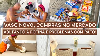 COLOCANDO TUDO EM ORDEM ANTES DA CIRURGIA COMPRAS DA SEMANA MONTEI O VASO NOVO E PROBLEMAS [upl. by Georgy192]