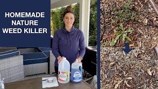 Homemade Weed Killer No Harsh Chemicals Affordable [upl. by Uzial770]