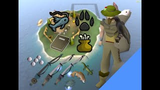 Aerial Fishing  2024 Skilling Methods  OSRS [upl. by Lleumas]