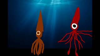 Orthocone Vs Colossal Squid [upl. by Redwine]