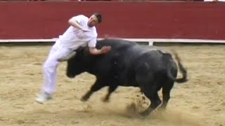 😱 LOS MEJORES RECORTES Y COGIDAS TOROS BRAVOS [upl. by Nemra]