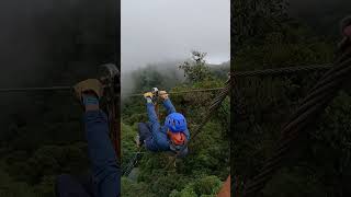 Monteverde Cloud Forest Zip Wire  Monteverde  Costa Rica shorts travel visitcostarica [upl. by Ellerehc]