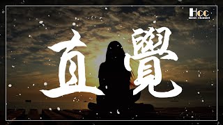 直覺 superluckyqi 動態歌詞 Pinyin lyrics [upl. by Liesa]