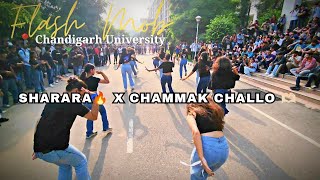 Chail Chabila  Dance video  shortsfeed trending dance haryanvi shorts short [upl. by Enimassej]