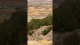 Badlands National Park South Dakota nature [upl. by Nogaem]