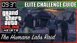 The Humane Labs Raid Elite Challenge Guide  No Toreador [upl. by Atrice178]