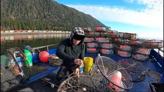 2024 Commercial Crab Fishing Getting Bait Loading and Fixing Traps before Departure [upl. by Cyrilla]