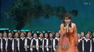 Ghibli Songs Live  Tonari No Totoro [upl. by Livi730]