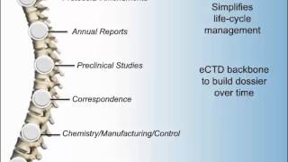 eCTD Submissions Electronic Common Technical Document with CTI [upl. by Kalikow218]