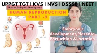 Embryonic development  Placenta Germ layers  Parturition amp Lactation  Human reproduction PGTbio [upl. by Neelasor]