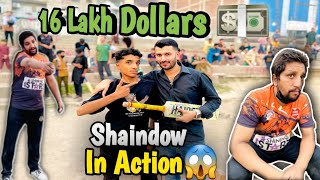 16 Lakh Dollars Ka Classical Match Shaindow In Action Day Cricket Match zshani8549 [upl. by Ankeny172]