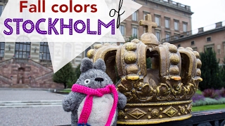 Totoro in Sweden  Stockholms Fall Colors [upl. by Yrallam851]