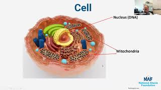 Research amp Treatment Development for Friedreichs Ataxia [upl. by Enal461]