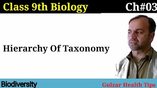 Hierarchy Of Taxonomy  Biodiversity  Class 9 Biology [upl. by Enyrat]