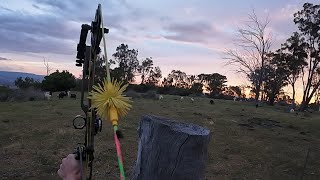 Bowhunting NSW Australia [upl. by Gamal]