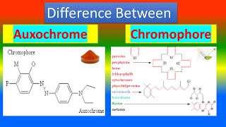 Difference between Auxochrome and Chromophore [upl. by Ahtiek291]