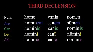 The Third Declension in Latin Made Simple  Easy Latin Grammar Lessons [upl. by Hessler]