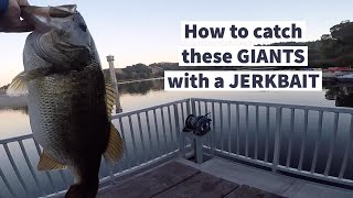 JERKBAIT fishing at Lafayette Reservoir [upl. by Dorcas362]