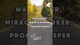 Way Maker By Leeland Video Lyrics shorts short leeland waymaker promisekeeper lyricvideo [upl. by Adnylem667]