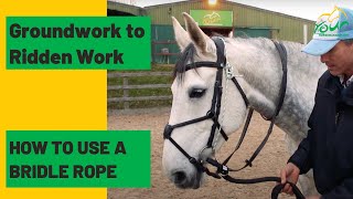 How to Use a Bridle Rope [upl. by Vange]