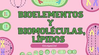 Bioelementos y Biomoléculas Descubre el Mundo de los Lípidos 🌱🔬 [upl. by Eluj33]