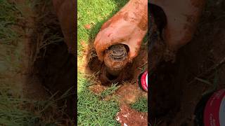 Replace Sprinkler Head in 5 Mins  Easy DIY Fix [upl. by Brigette]