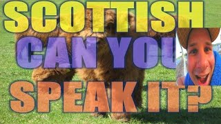 GUIDE TO SCOTTISH WORDS AND SAYINGS  SLANG PART 1 [upl. by Bartosch]